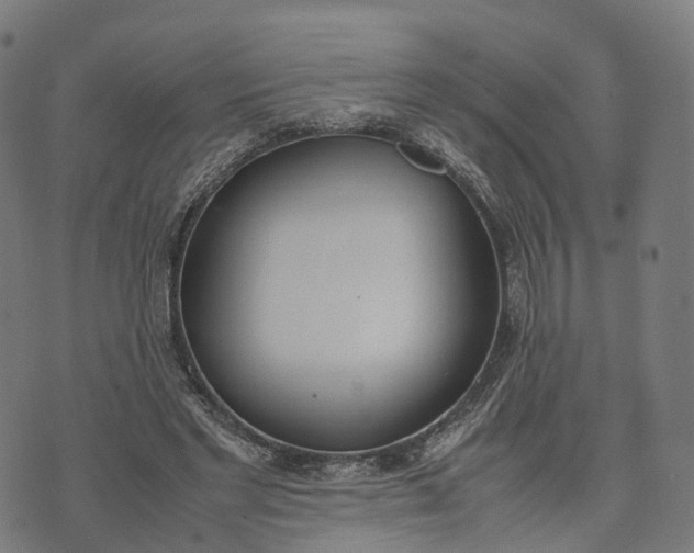 X0000070380493200606231716