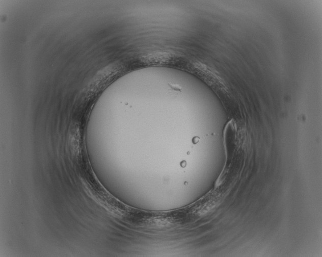 X0000070380498200606231716