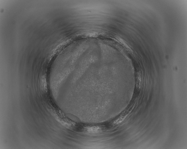 X0000070380500200606231716