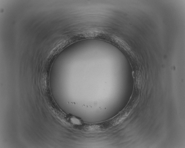 X0000070380501200606231716