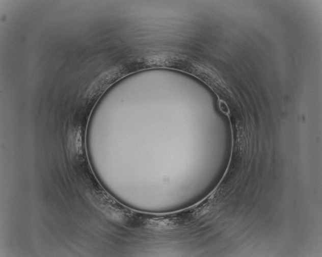 X0000070380502200606231716