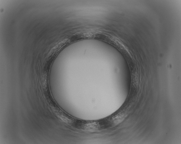 X0000070380505200606231716