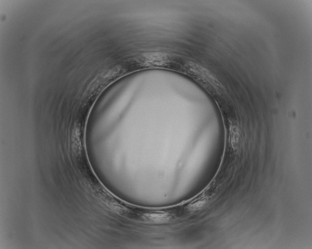 X0000070380506200606231716