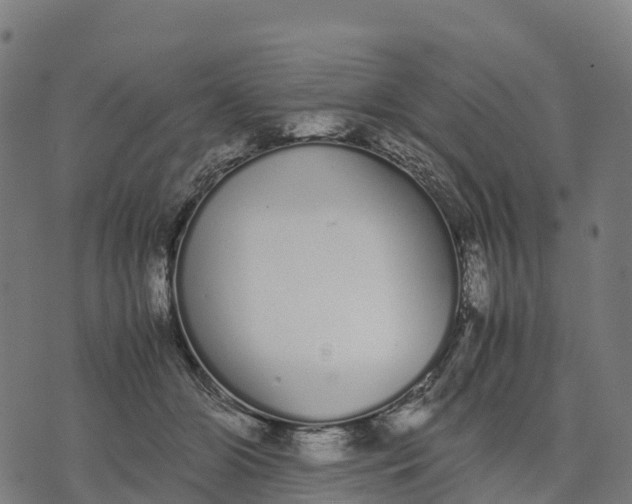 X0000070380510200606231716