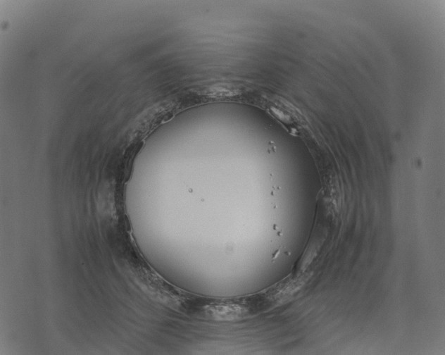 X0000070380512200606231716