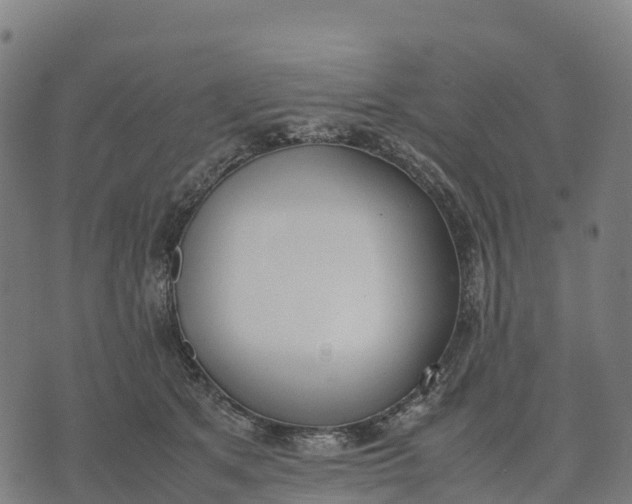 X0000070380513200606231716