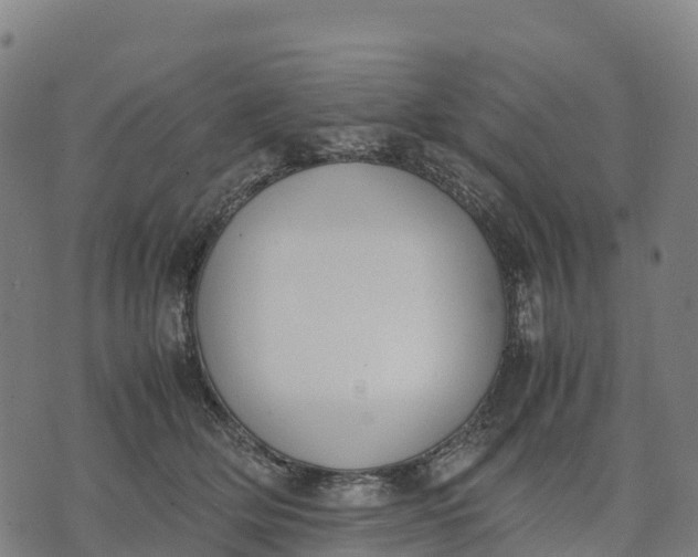 X0000070380514200606231716