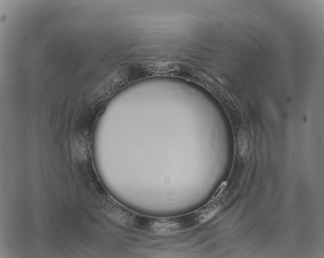 X0000070380515200606231716