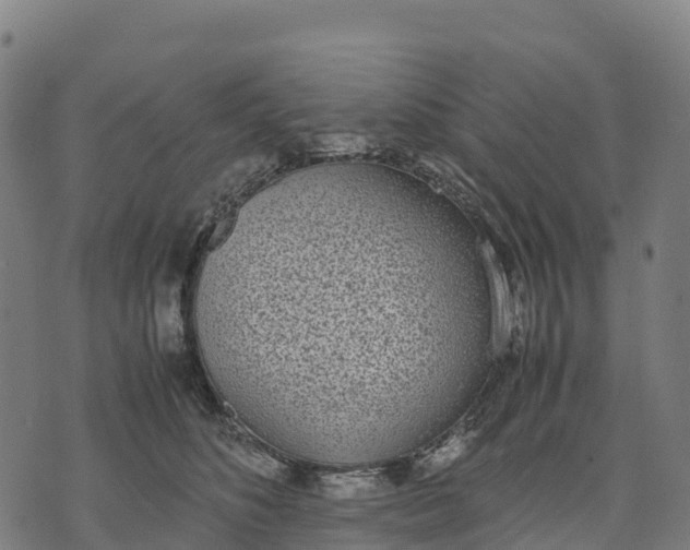 X0000070380516200606231715