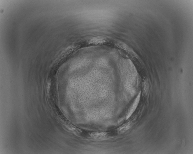 X0000070380517200606231715