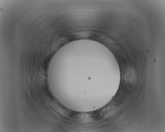 X0000070380518200606231715