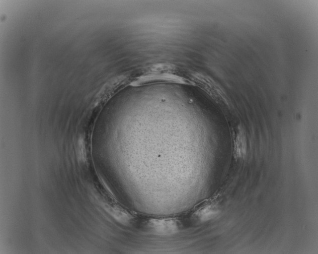 X0000070380520200606231715