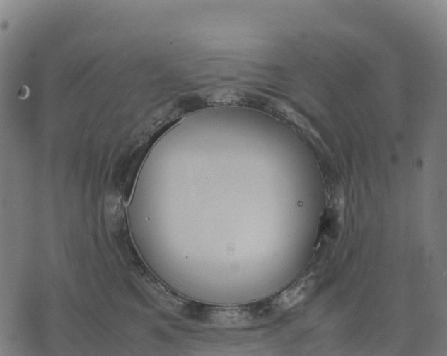 X0000070380521200606231715