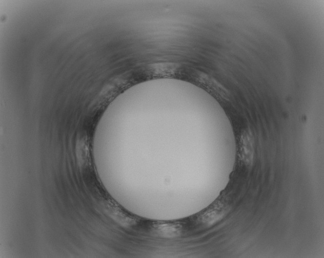 X0000070380522200606231715