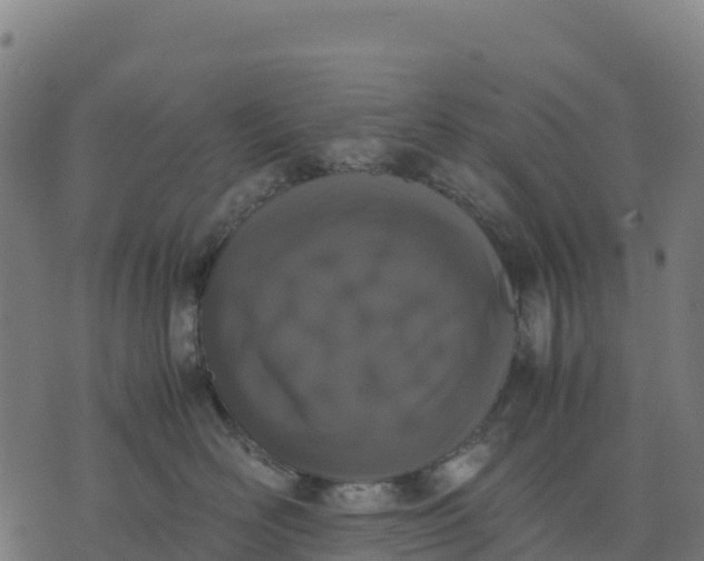 X0000070380526200606231715