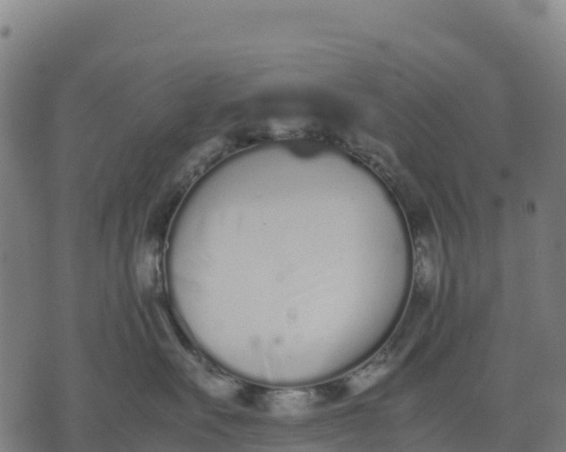 X0000070380527200606231715