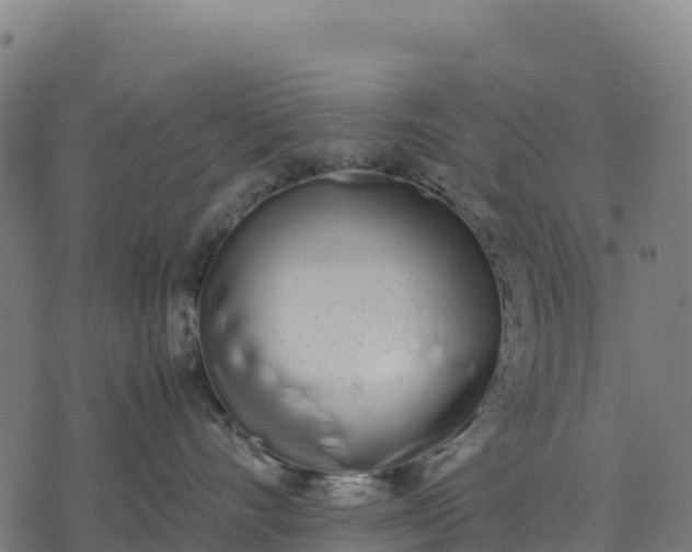 X0000070380528200606231715