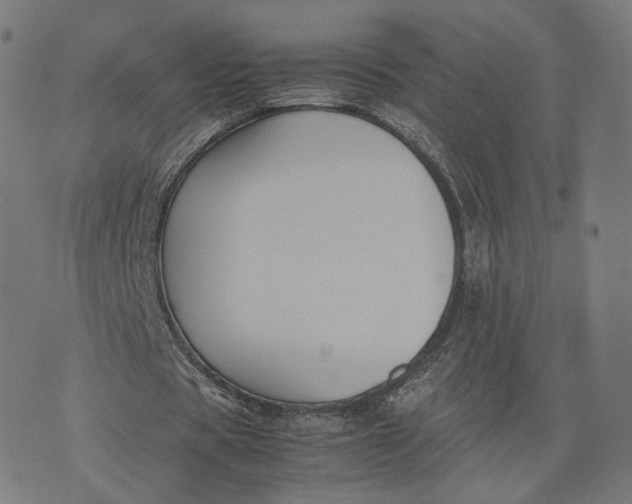 X0000070380529200606231714