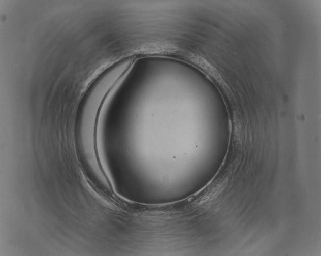 X0000070380530200606231715