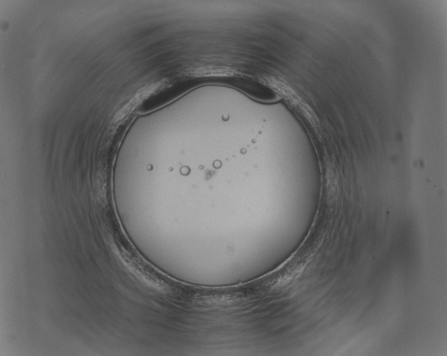 X0000070380533200606231715