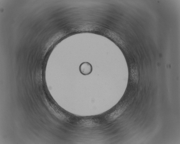 X0000070380534200606231715