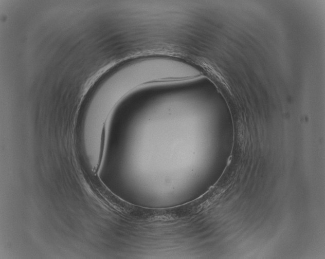 X0000070380536200606231715