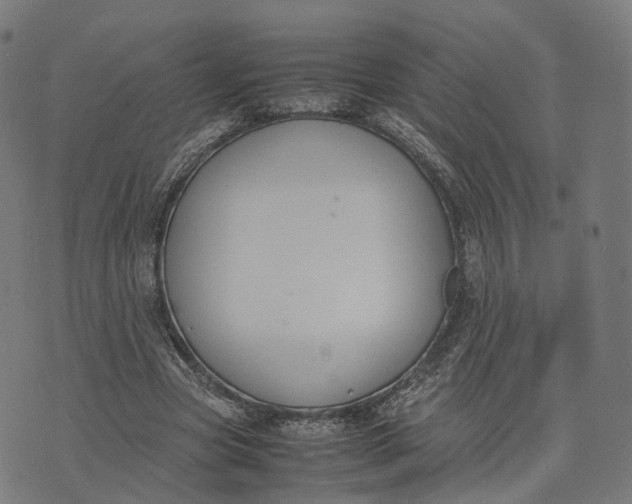 X0000070380537200606231715