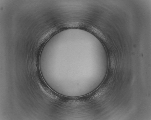 X0000070380538200606231715