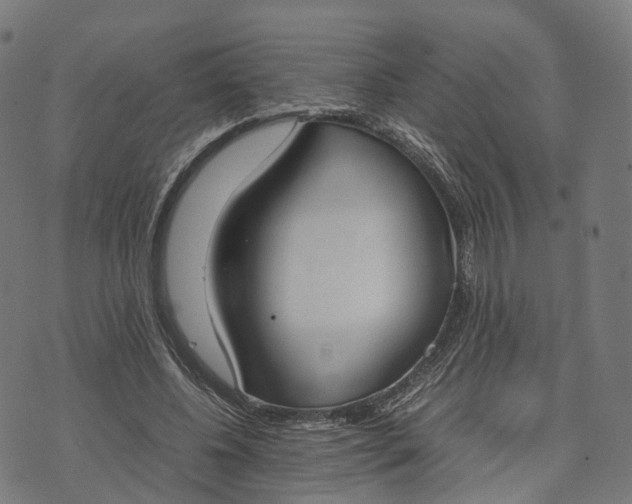 X0000070380540200606231715