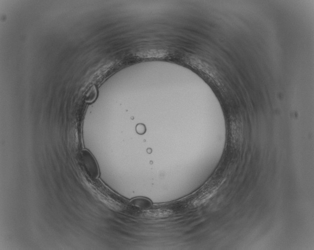 X0000070380541200606231715