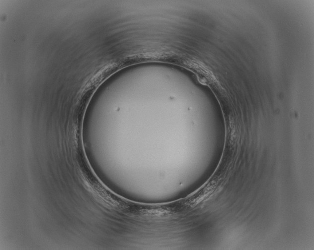 X0000070380542200606231715