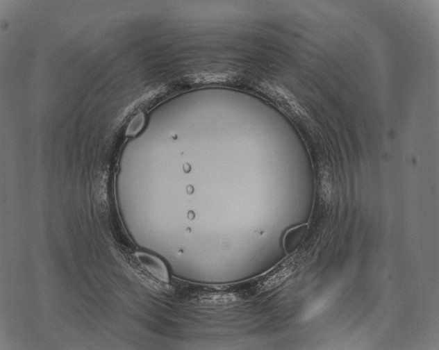 X0000070380543200606231715