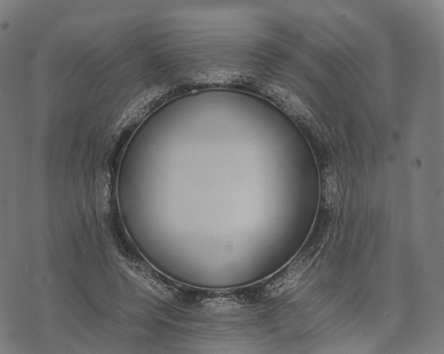 X0000070380544200606231715