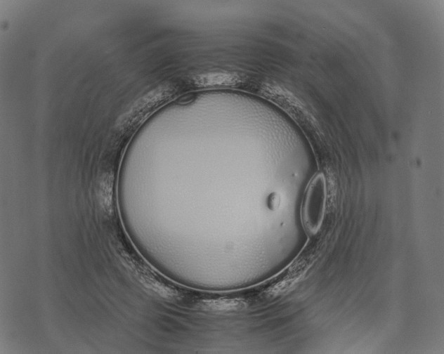 X0000070380545200606231715