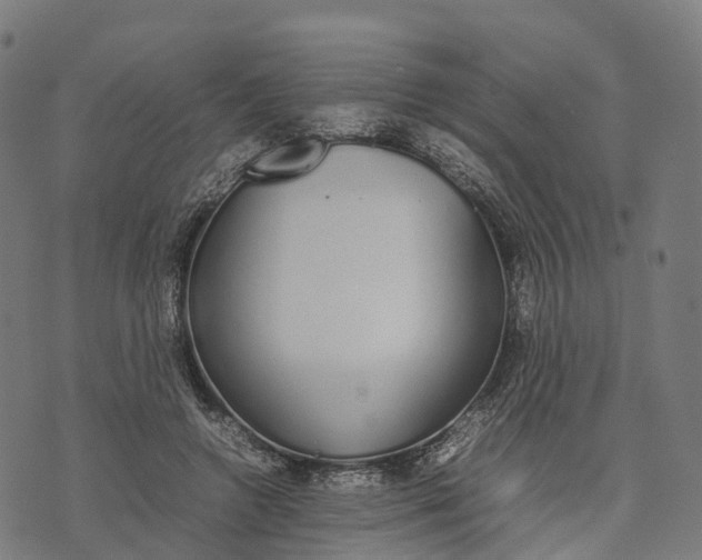 X0000070380546200606231715