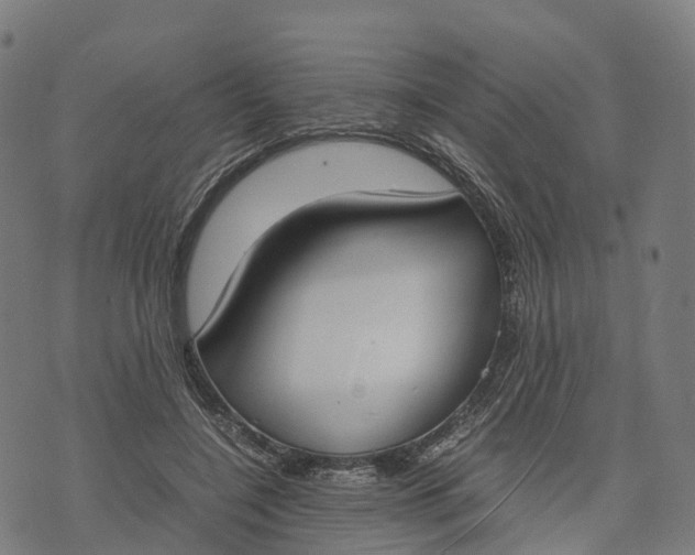 X0000070380548200606231715