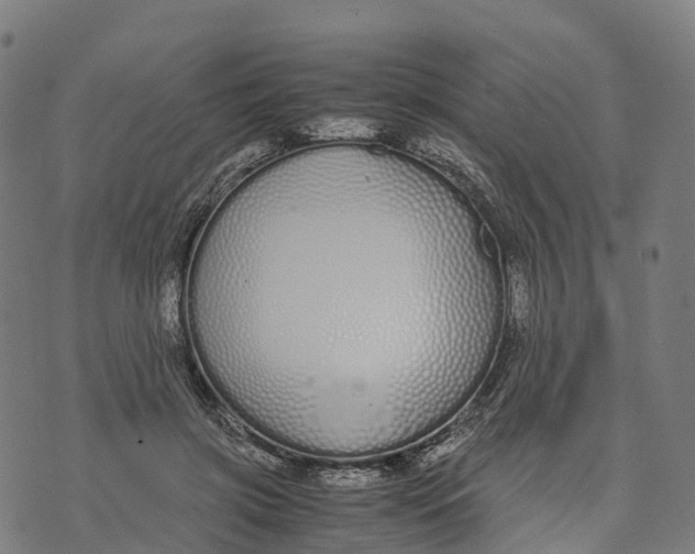 X0000070380549200606231715