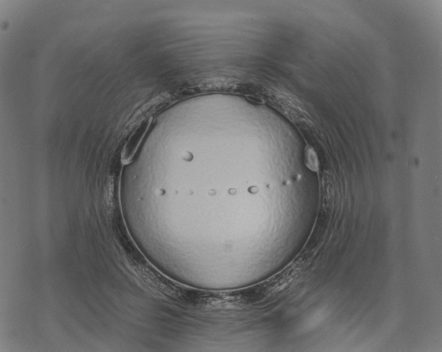 X0000070380550200606231715