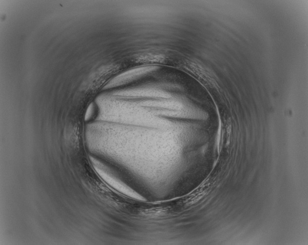 X0000070380551200606231715