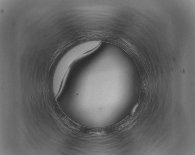 X0000070380552200606231715