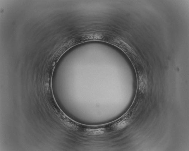 X0000070380553200606231715