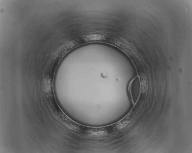 X0000070380555200606231715