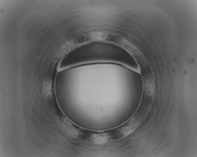 X0000070380556200606231715