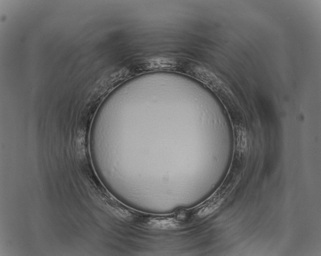 X0000070380557200606231715