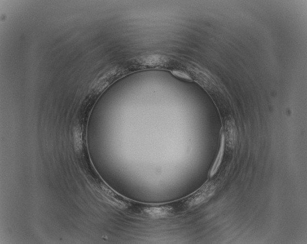 X0000070380558200606231715