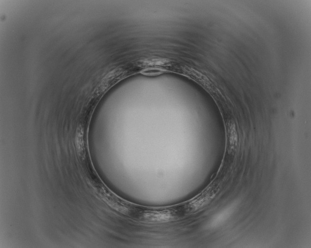 X0000070380559200606231715