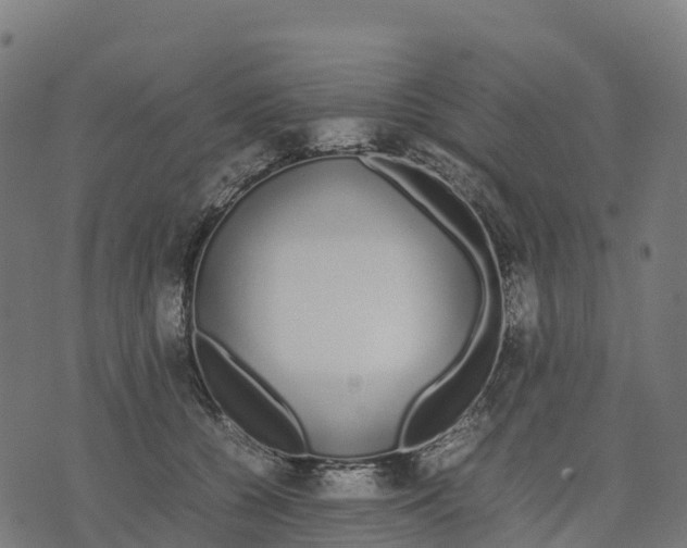 X0000070380560200606231715