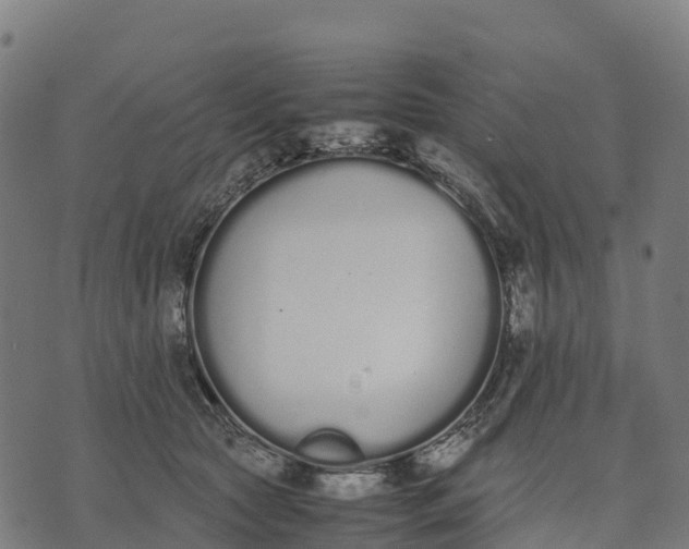 X0000070380561200606231715