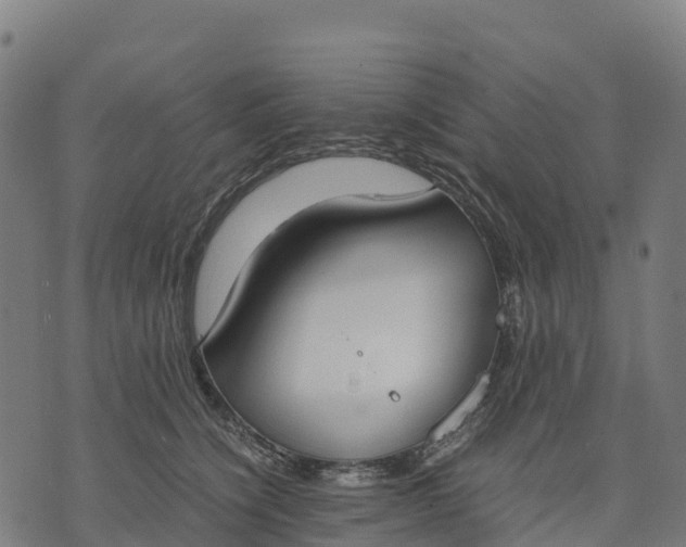 X0000070380564200606231715