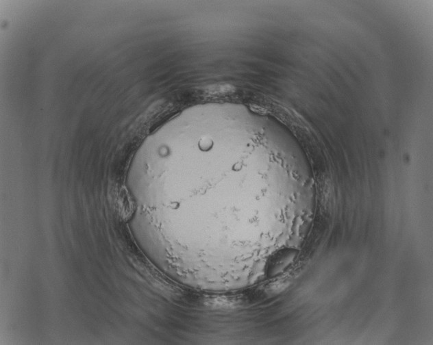 X0000070380565200606231715